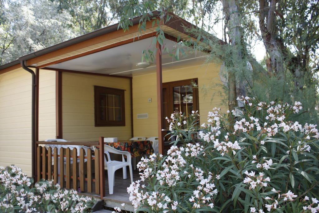 Camping Village Baia Del Marinaio Vada Room photo